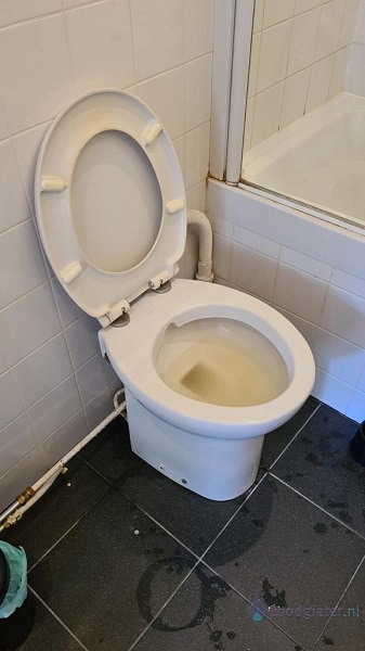  verstopping toilet Dordrecht